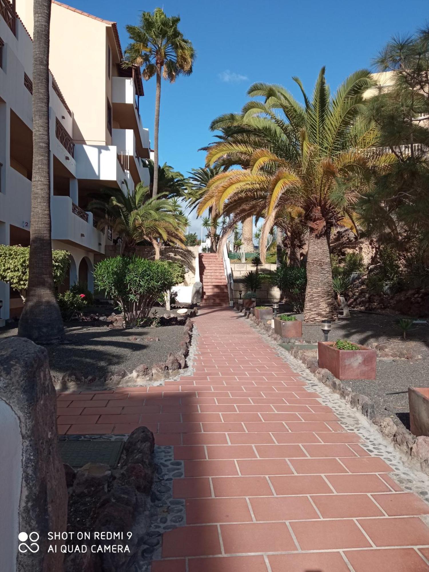 Las Meninas Tenerife San Miguel de Abona Rum bild